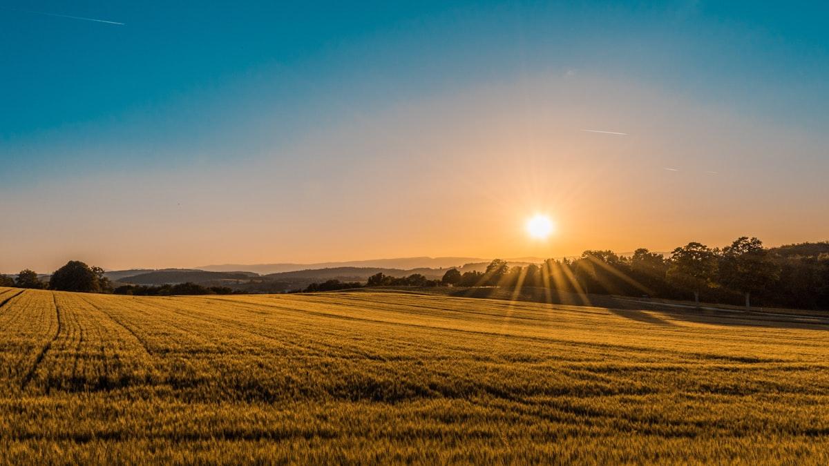 A full digital transformation for a major New Zealand agri-fintech co-operative — migrating legacy bash scripts and on-premise systems to a serverless, AI-powered cloud-native platform on Google Cloud with integrated card management, automated invoice processing, and end-to-end billing workflows.